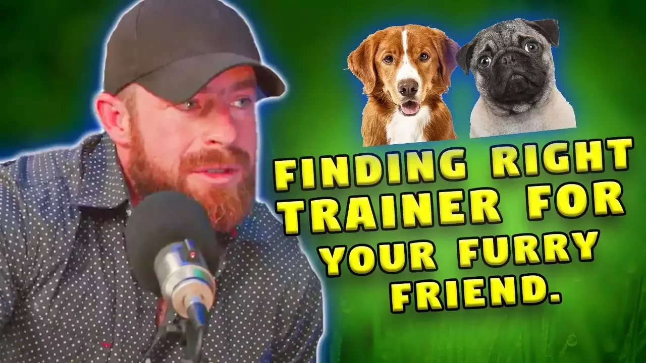 How to Find the Right Trainer for Your Pet